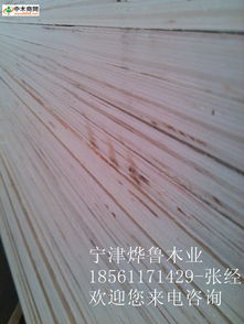 中木商網(wǎng) 一站式木材產(chǎn)品與資訊服務平臺